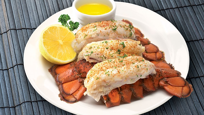 Lobster Plate Background 2021 Final